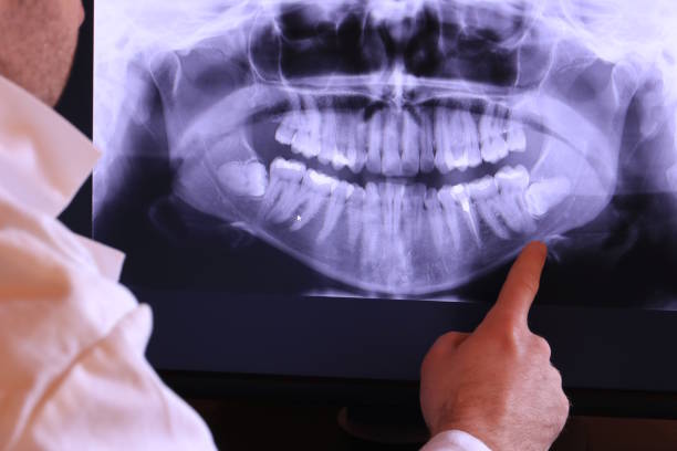 Best Emergency X-Rays and Diagnostics in Springfield, OR